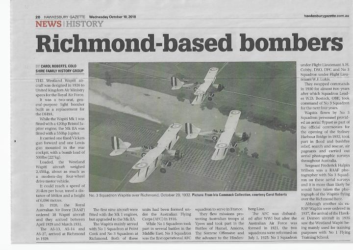 Wapitis over Richmond