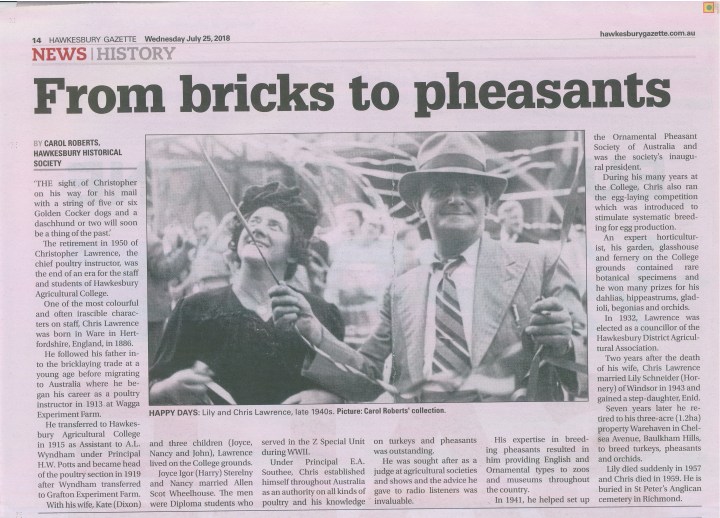 From bricks to pheasants